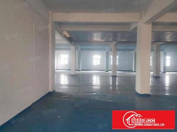 茶山新出650平有地坪漆有电梯园区形象好高大上停车位充足