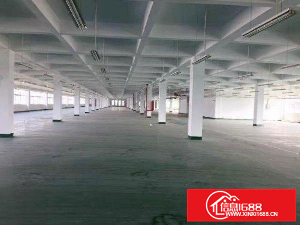 一楼出租可分租500平，880平，1250平招租