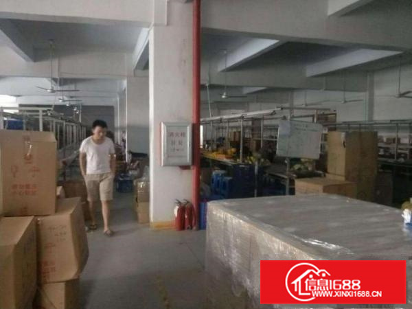 空地大！环境优美！可做小污染园区厂房出租！