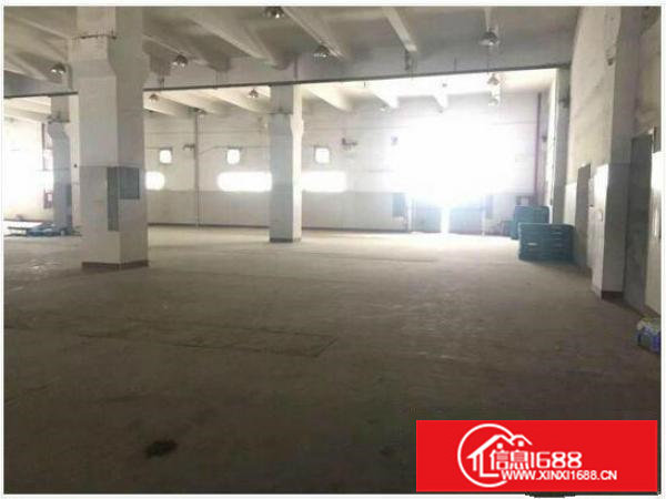 空地大;电量大;高度7米;环境好;一楼2100平