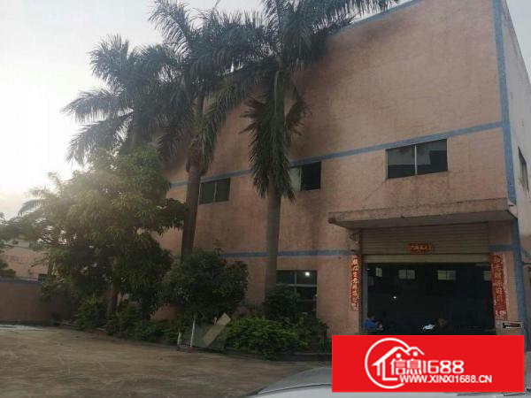 坪山区坑梓龙湾路边钢架厂房1200平米出租