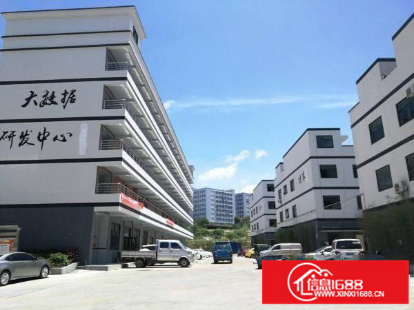 大浪南路实体墙仓库145平，带装修，33元