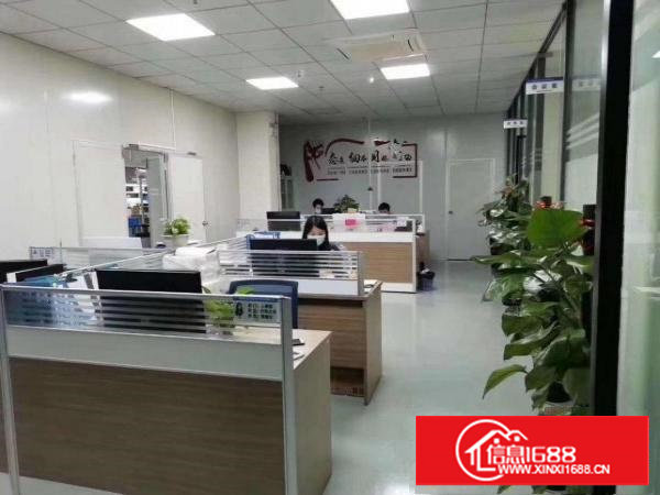 经济实惠，干净卫生的厂房