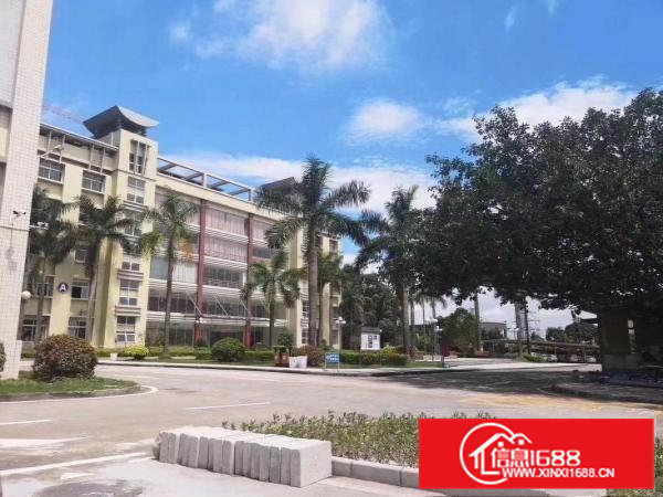 虎门滨海湾新区花园式厂房，免租租6个月，特价招租