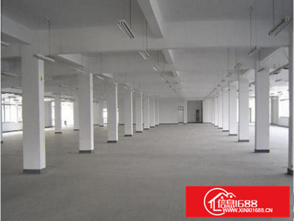 桥头新空出标准厂房一楼700平高6.5米精装修