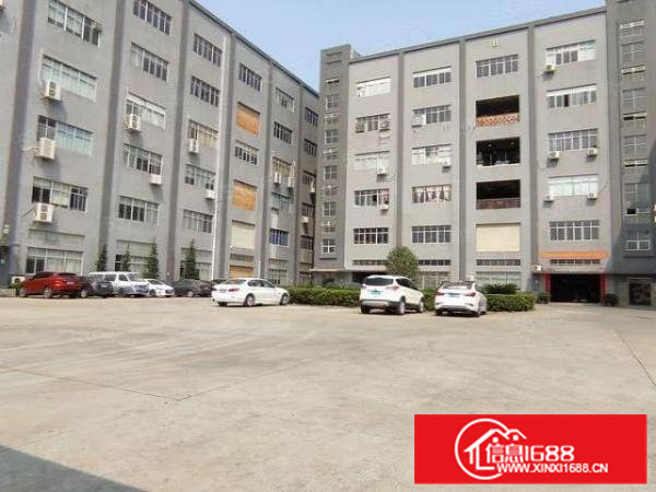 清溪村委独院价格10块一平方起总面积3万平1000平方起分