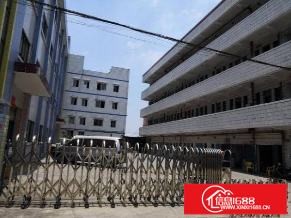 原房东厂房标准厂房分租二楼1300平方米