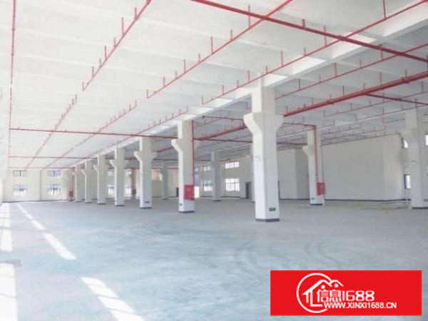 佛山顺德区均安镇全新厂房三栋约57000平方左右