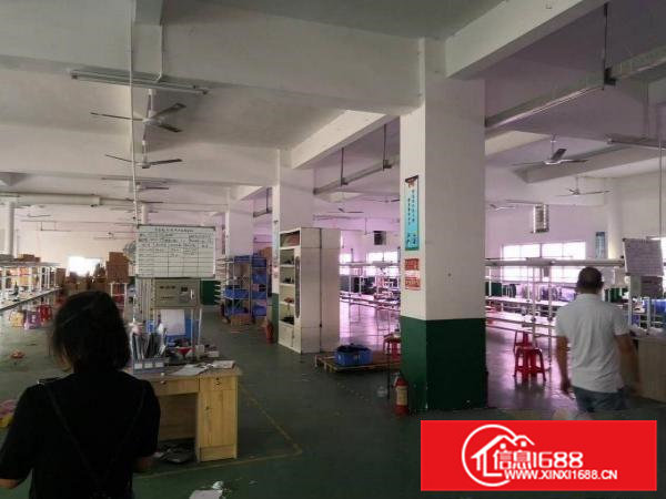 石排原房东厂房二楼800平方米出租，水电齐全