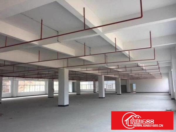 惠阳秋长80000平厂房招租