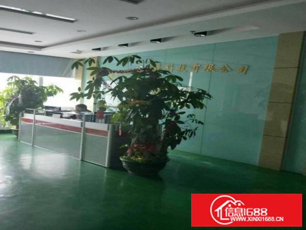 龙华大浪华宁路新出楼上1500平方带装修厂房出租