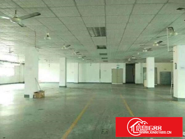 福永新和原房东625平带装修厂房出租