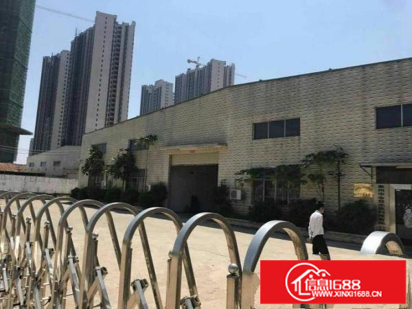 惠阳秋长3000平独院钢构高8米空地大可分租