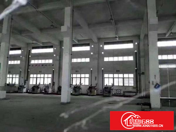 出租龙岗区坪地中学不远标准1楼厂房1260平层高8米带牛角