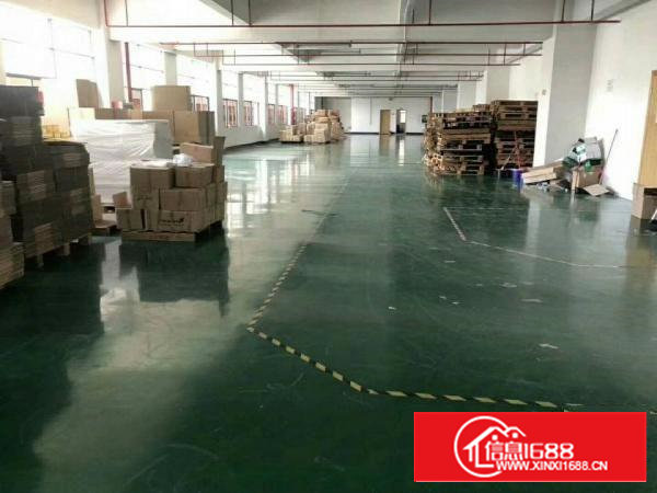 沙井107国道旁独院11500平方厂房可分租