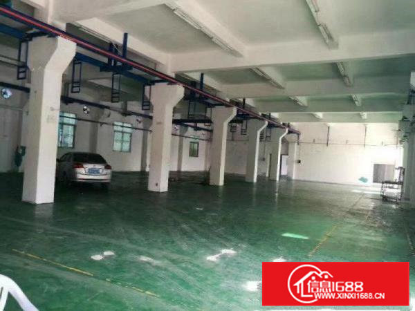 带行车带水电）凤岗两层3000平方米独院厂房出租