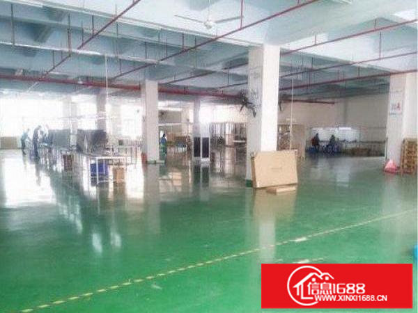 出租龙岗区中心城标准厂房楼上1500平带装修