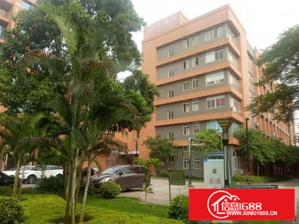 孙屋工业区出租标准厂房楼上1300平