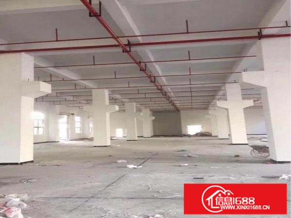 一楼有6米高水磨石地板，适合各种行业。
