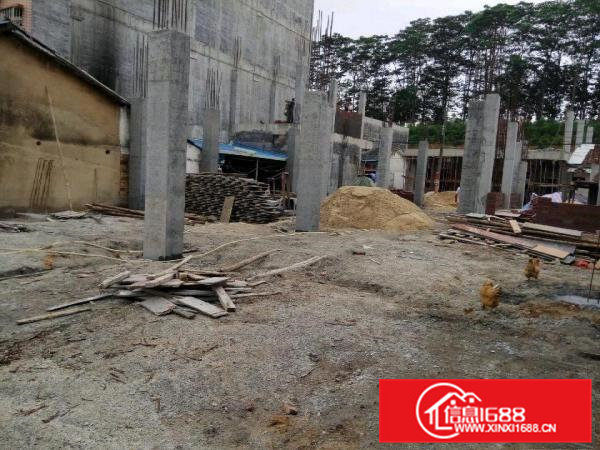 桥头镇石水口市场附近土地300平米可做厂房