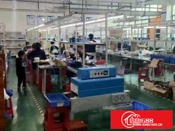 清溪三中新出二楼1000平标准厂房接受任何行业现成消防喷淋