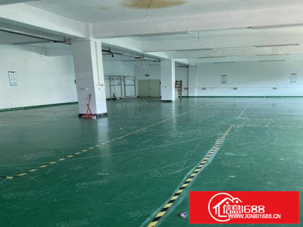 桥头精装修的厂房出租，有红本可申请补贴