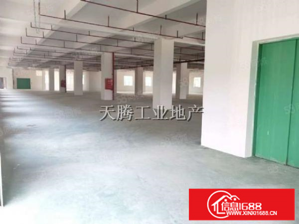 （出租）乐从良村工业区全新标准厂房带2台5吨货梯