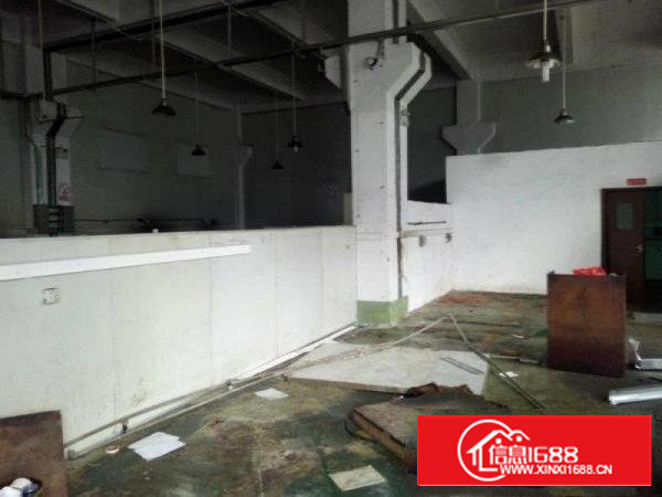 沙井一楼单层340平高5.5米以上，13米挂车可进