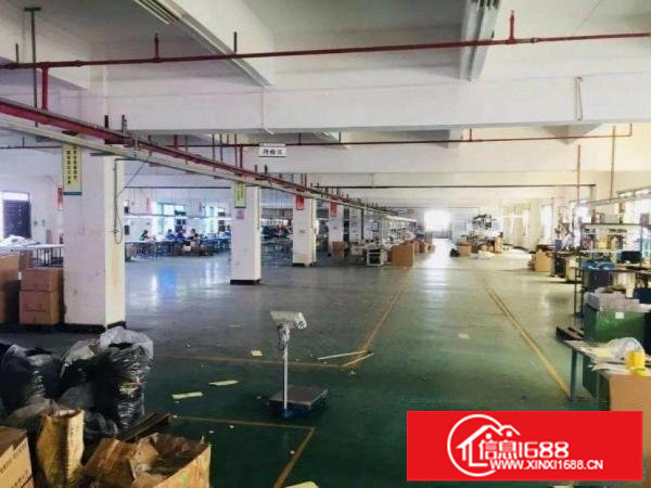 出租布吉长龙1500平厂房，有行车，有环评