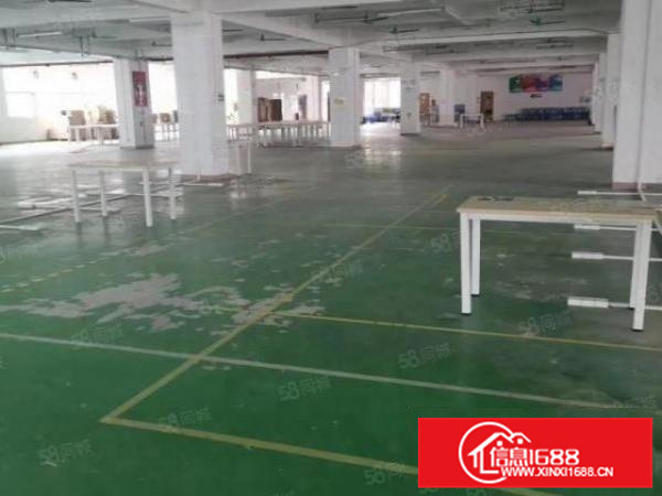 里水河村楼层每层2000方租12元可500方起分租好招工好