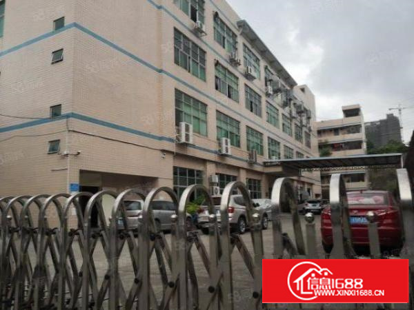 带红本带喷淋消防石排镇新出标准厂房1200平出租