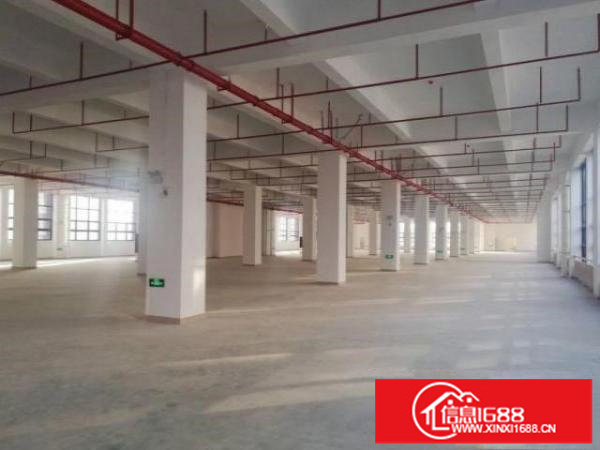 观澜石马径豪华装修厂房楼上2950平出租可分租，现成装修