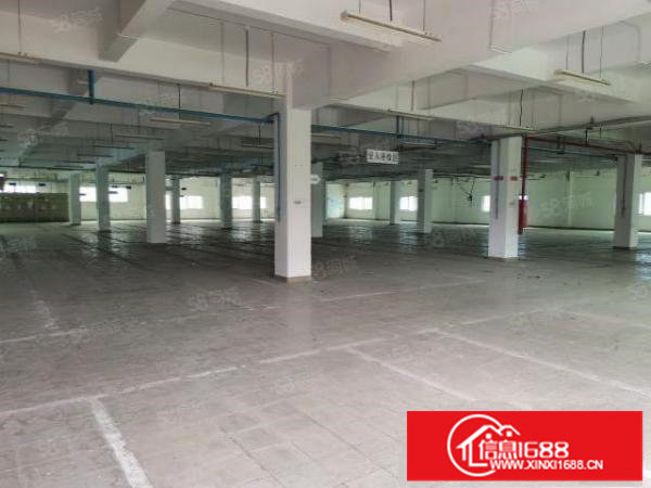 龙华新区大浪中心区13000平独院原房东出租