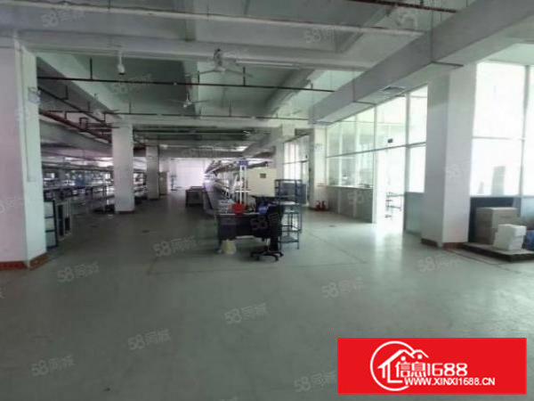 桥头镇新出原房东标准厂房一楼1300平方，空地面积超大