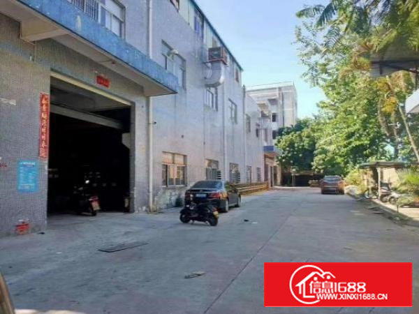 带装修！独院厂房出租可分租