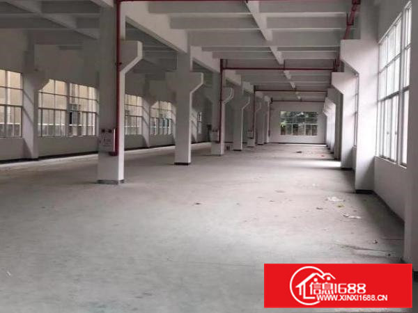 东莞桥头全新带办公楼地坪漆厂房