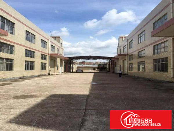 惠阳秋长新塘新出标准独院加钢构16000平米独院可分租