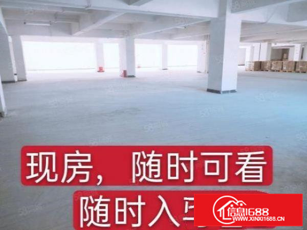 出租东坑彭屋小面积红本厂房打包价3000可办环评周边无居民