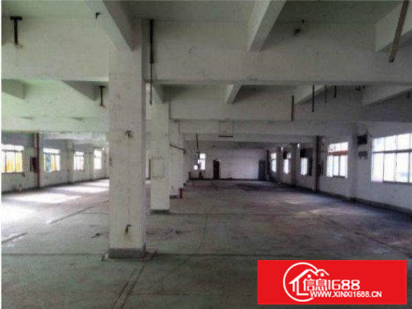 平湖新木村委楼上标准厂房500平环境好火热招租