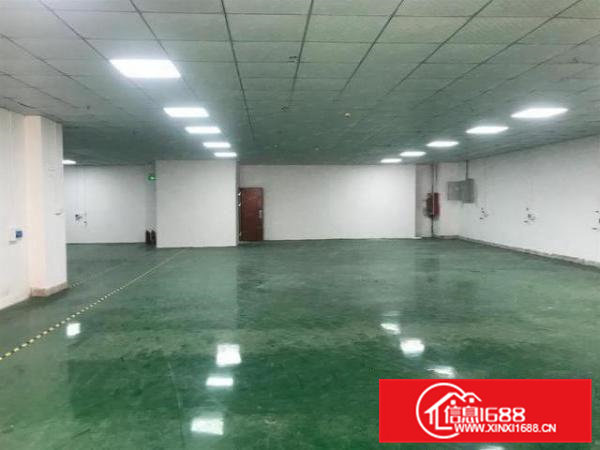 石排燕窝原房东一楼标准厂房1000平出租