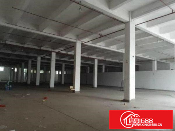 坑梓金沙新出7米高标准1楼厂房10000平米，可分租