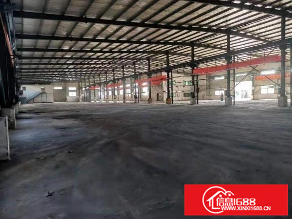 企石镇滴水高九米的钢构厂房