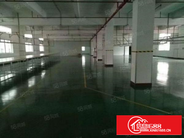 万江6000平米大空地独院有独立办公楼