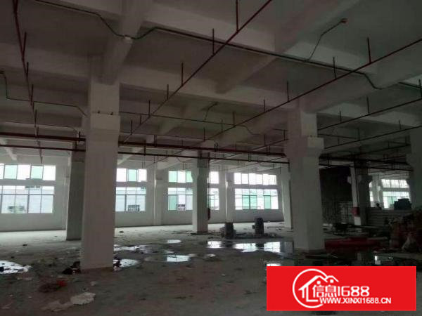 清溪镇三中空出一楼厂房1300平方高6米