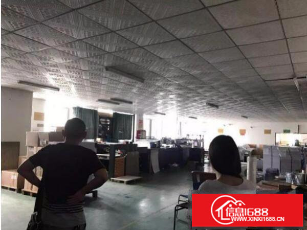 坂田天安云古附近新出楼上1250平方带装修