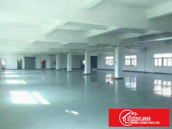 高埗标准一楼或二楼1500平方出租带现成装修办公室装修