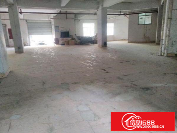 布吉丹竹头标准厂房仓库一楼350、550平方