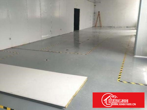 出租樟木头镇厂房含地坪漆电梯无尘车间