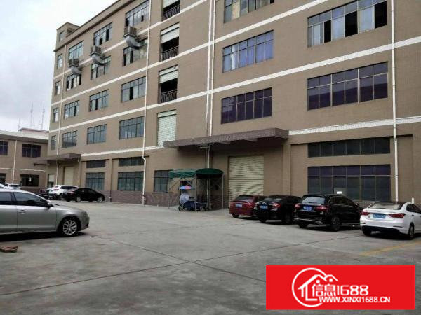 大岭山镇原房东园区新空出1600平一楼厂房出租