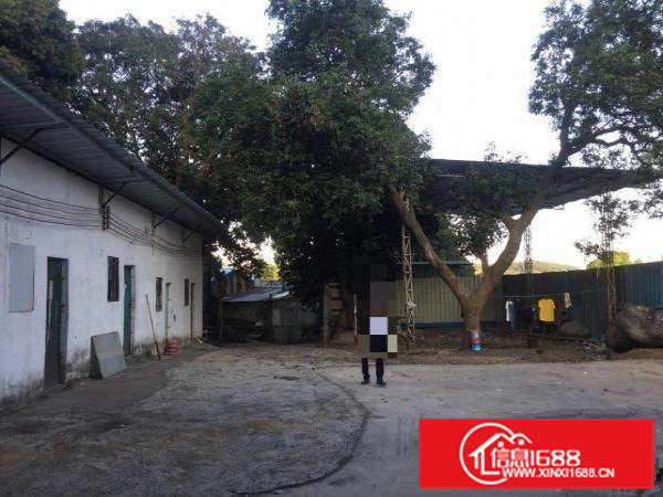 原房东单一层独院钢构1000出租